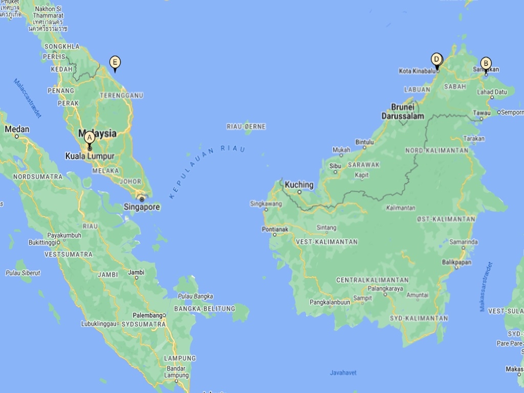 Borneo & Malaysia - Dyreliv, storby, luksus & badeferie